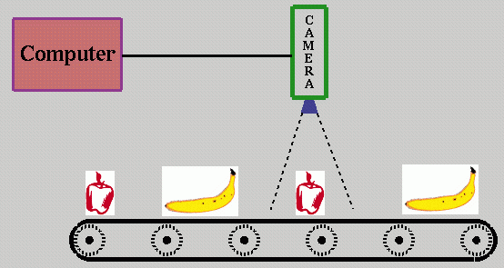 Fig 1. Conveyer Belt setup